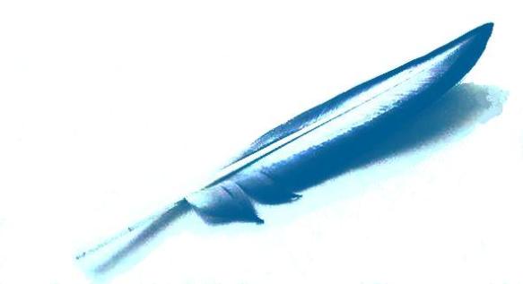 AaltoSenses-PaneeliLogo_2013