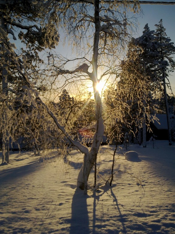 Aurinko alhaalla 210210